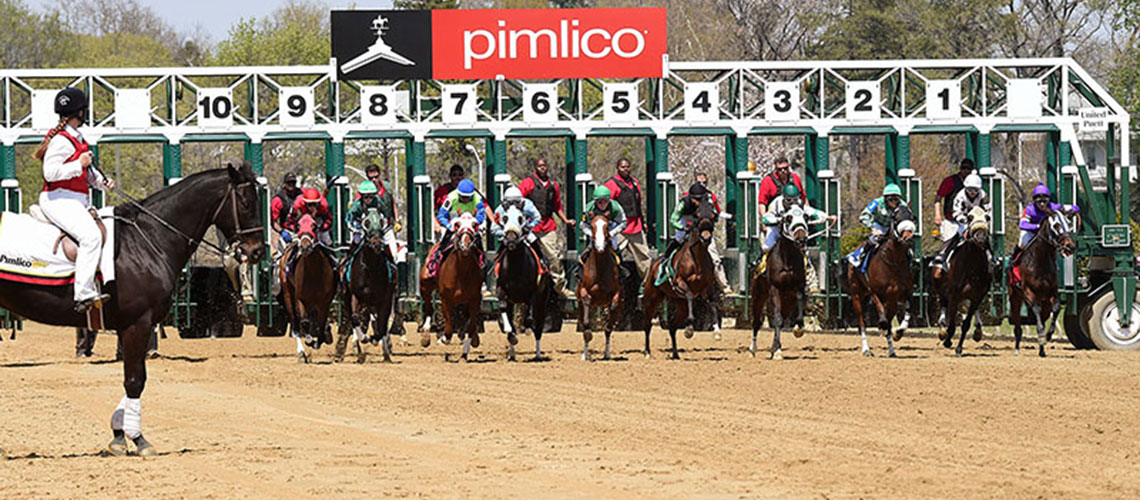 pimlico-start
