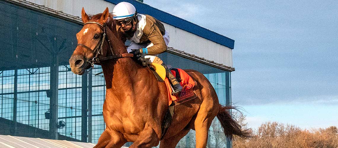 cordmaker-2021-Small