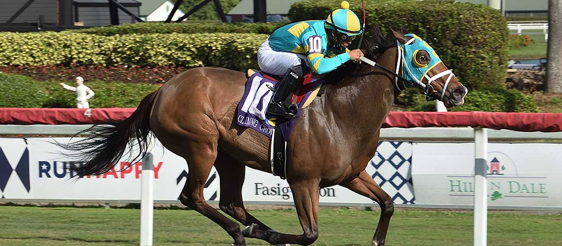 Jakarta-the-CC-Distaff-Dash