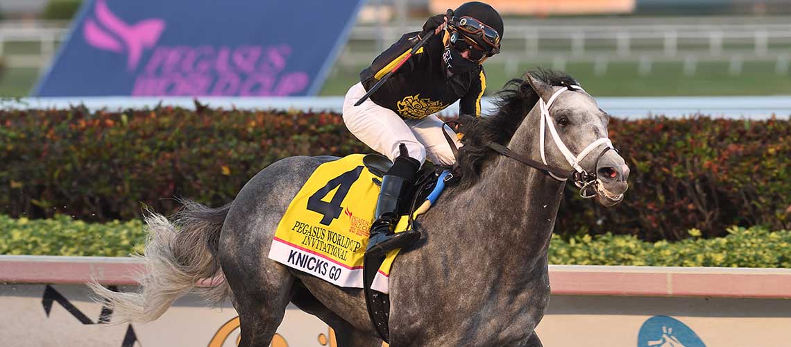 Knicks-Go-the-Pegasus