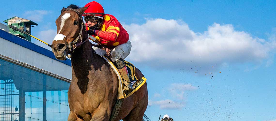 hibiscus-punch-2021-Fritchie1