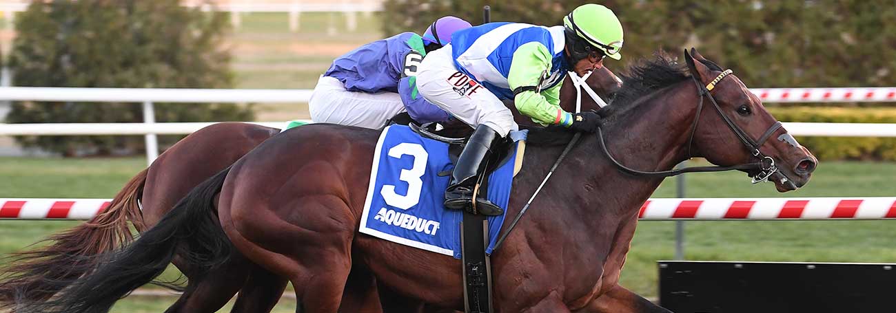 arrest-me-red-the-aqueduct-turf-sprint