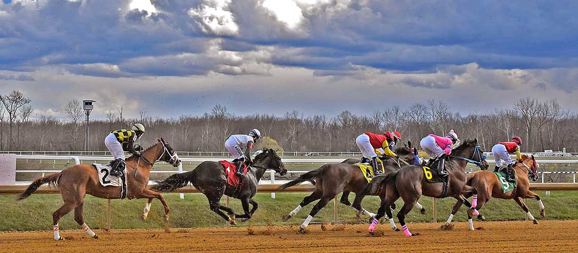 laurel-turn-mccue2-0