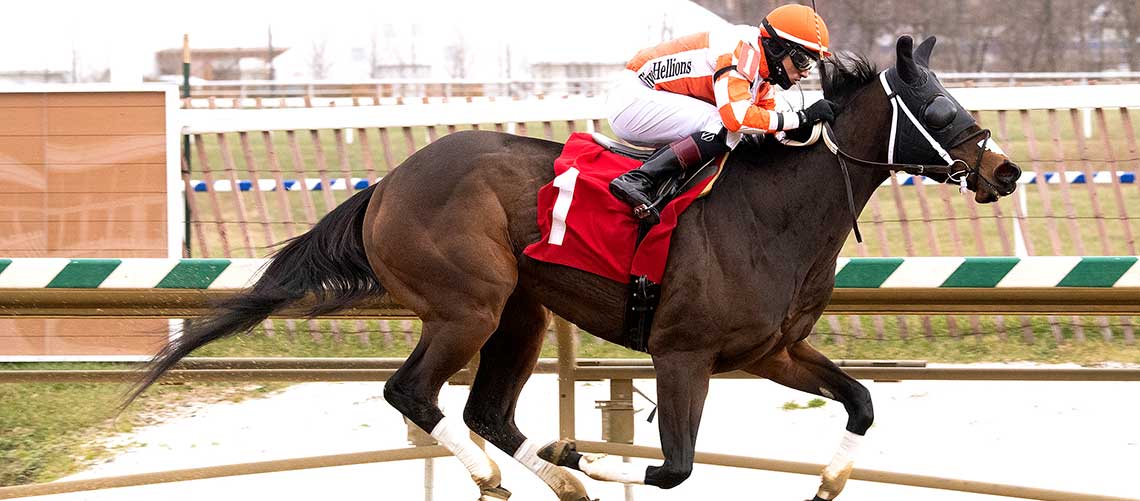 Dontletsweetfoolya-2020-WOTMove-0