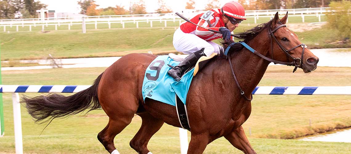 Grateful-Bred-2021-MMTurf-Sprint