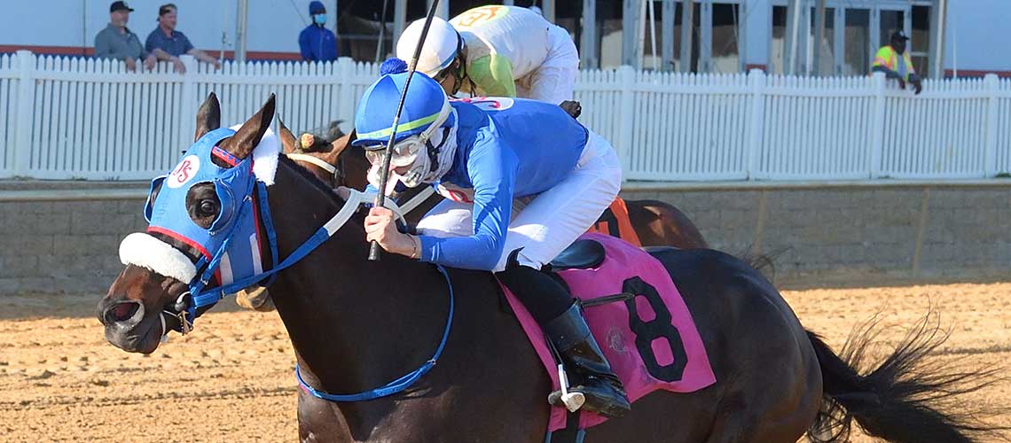 Shake-Em-Loose-2022-PTerms