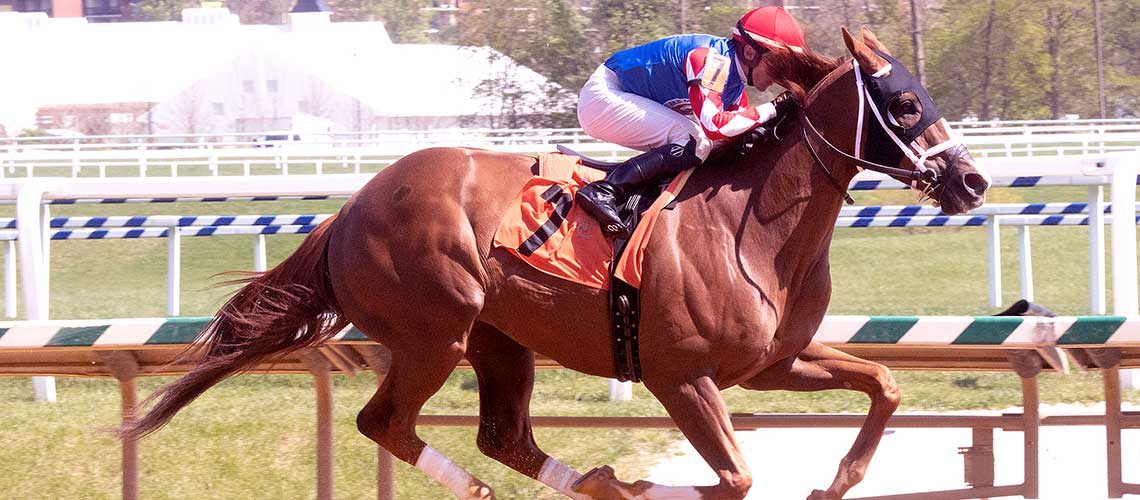 Whereshetoldmetogo-4.29-22