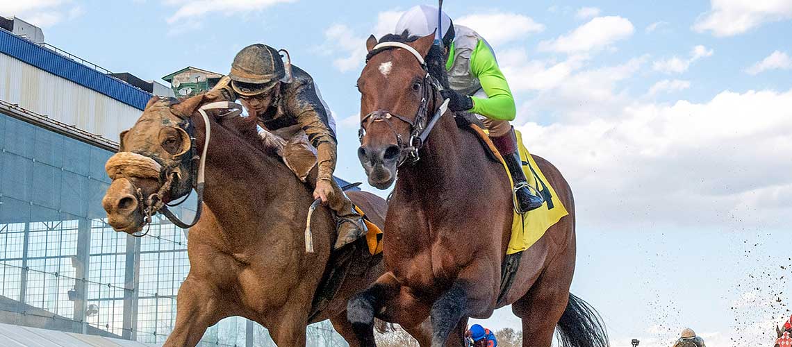 Joe,-inside,-2022-Tesio