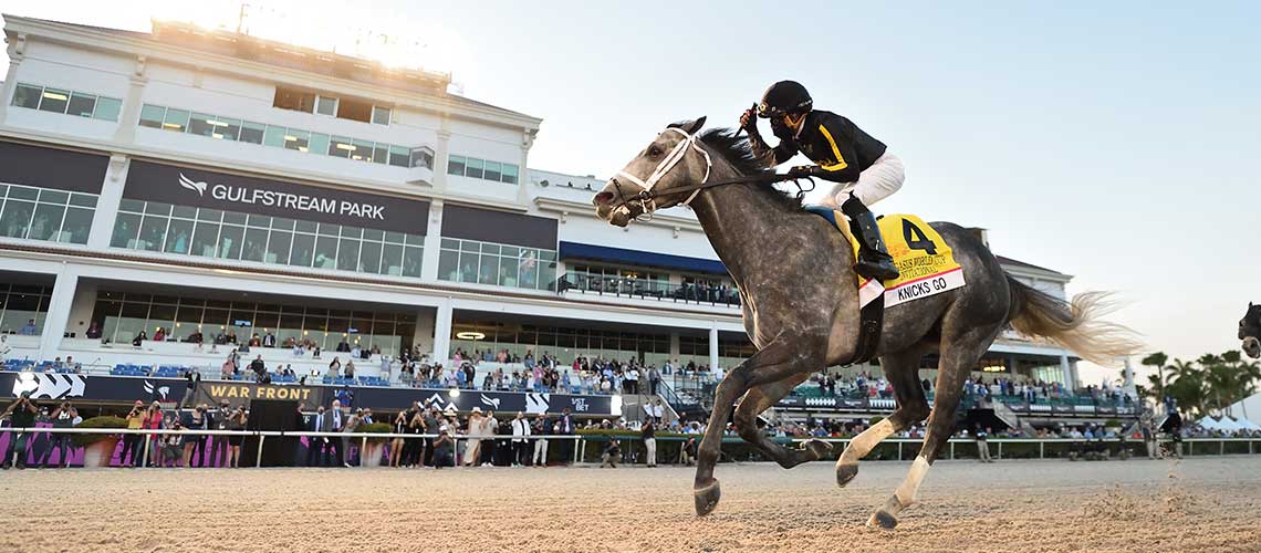 Knicks-Go-the-Pegasus3-01