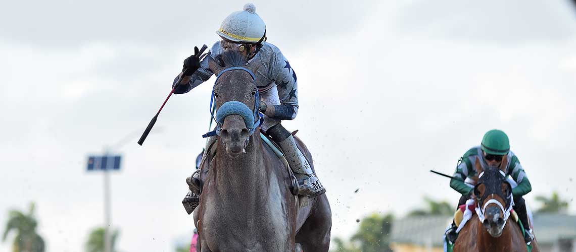 Simplification-the-FOY2-MJC