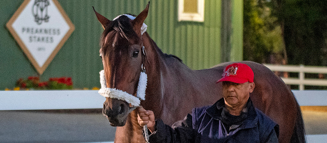 simplificatioin5607-0