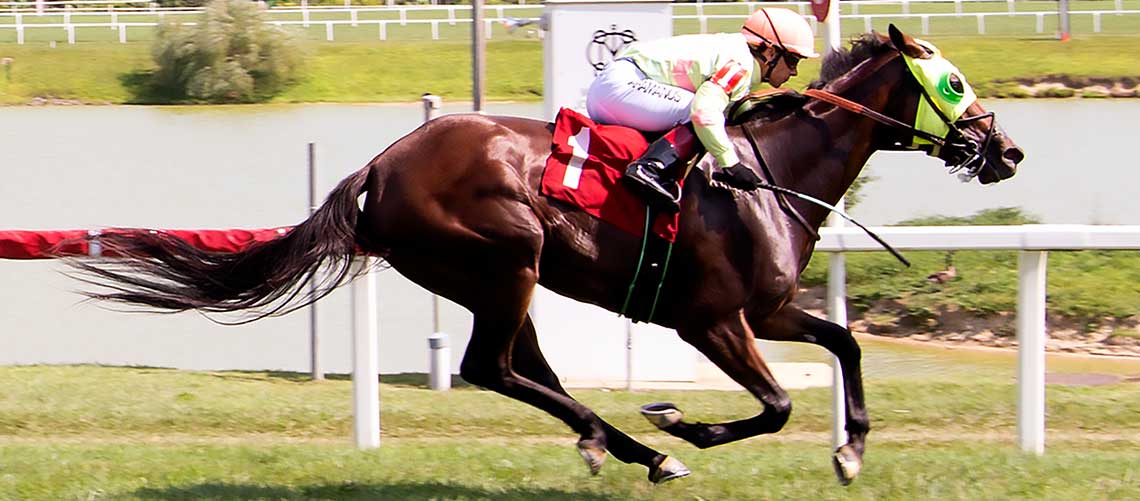 Cavalier-Cupid-7.22-22