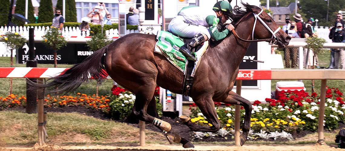 Chub-Wagon-2021-Skipat-0