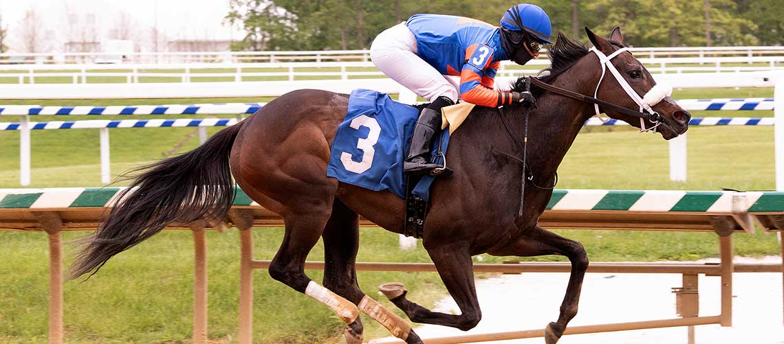 Little-Bit-Of-That-5.8-22