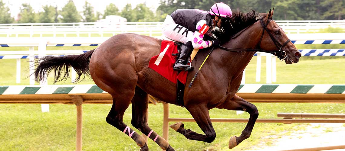 Mo-Money-Mo-Honey-7.16-22