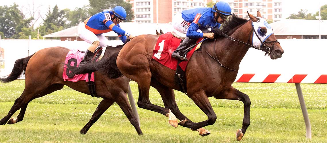 Pixelate-2021-PGCounty0