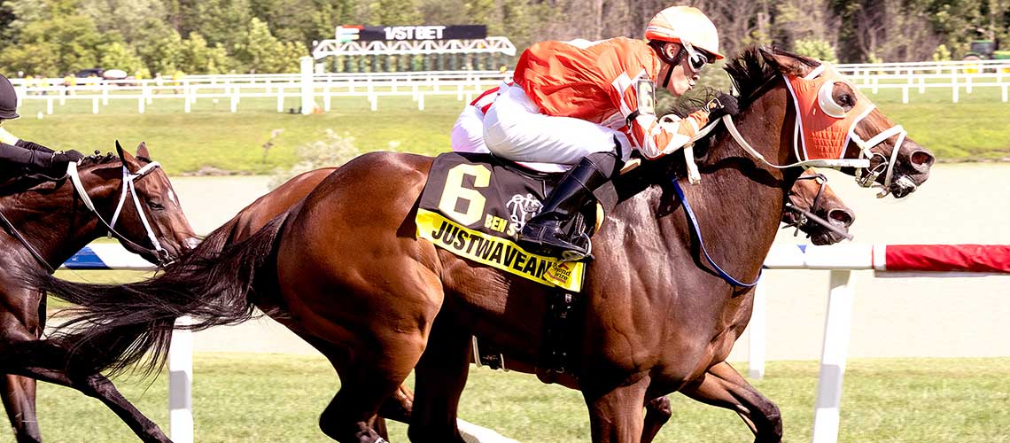 Justwaveandsmile-2022-BCat