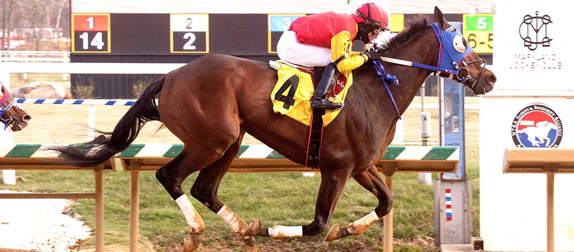 Plot-The-Dots-3.26-22