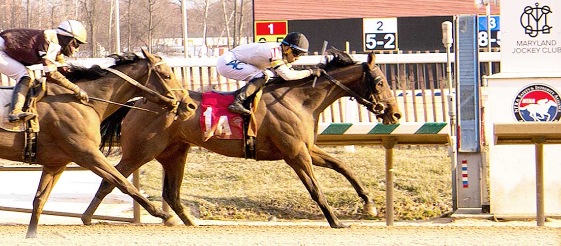 Peyton-Elizabeth-3.5-22