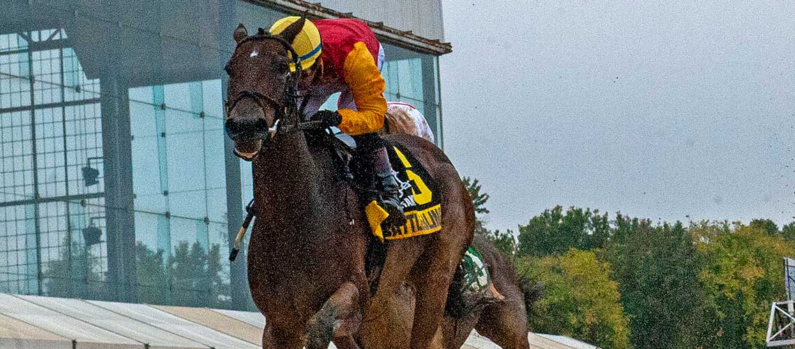 battle-bling-2022-twixt