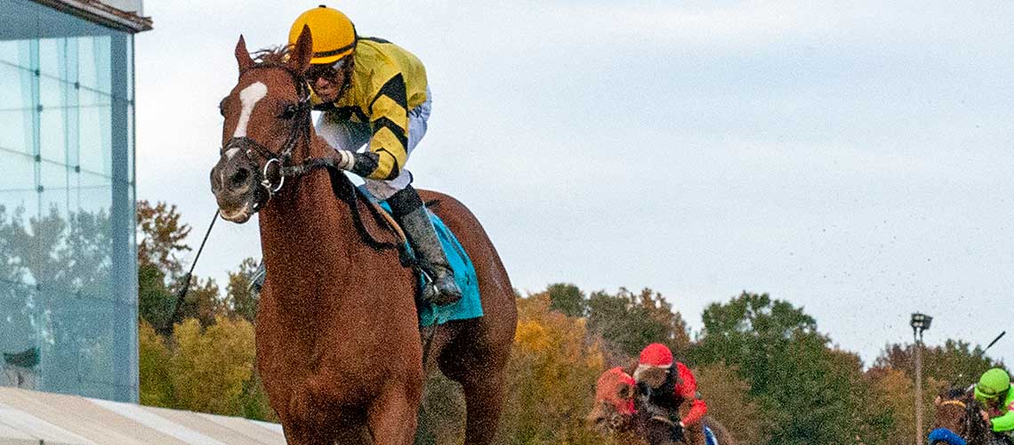 ournationonparade6248