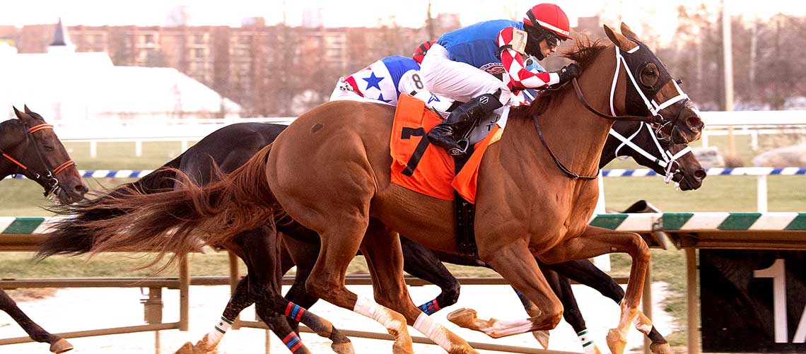 Whereshetoldmetogo-2021-Bender-11-13