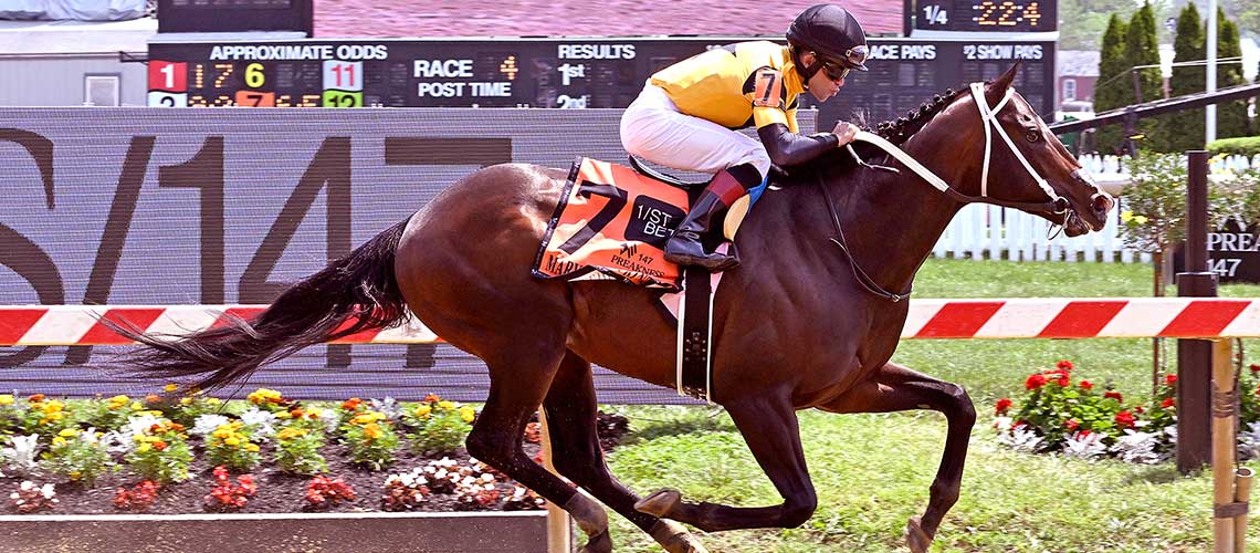 Jaxon-Traveler-2022-Md-Sprint3