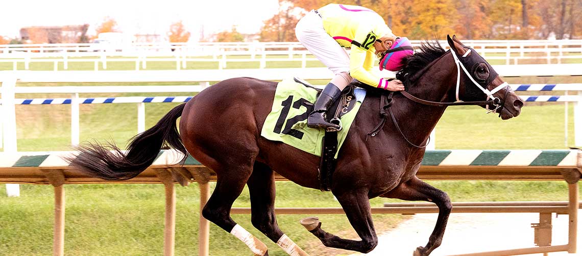 Prince-Of-Jericho-10.28.22