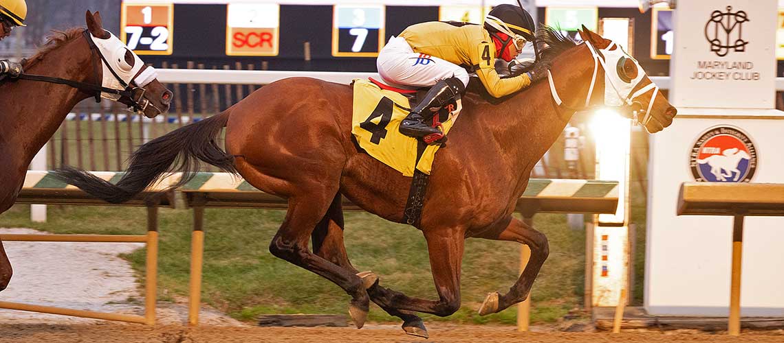 Prove-Right-12.11.22