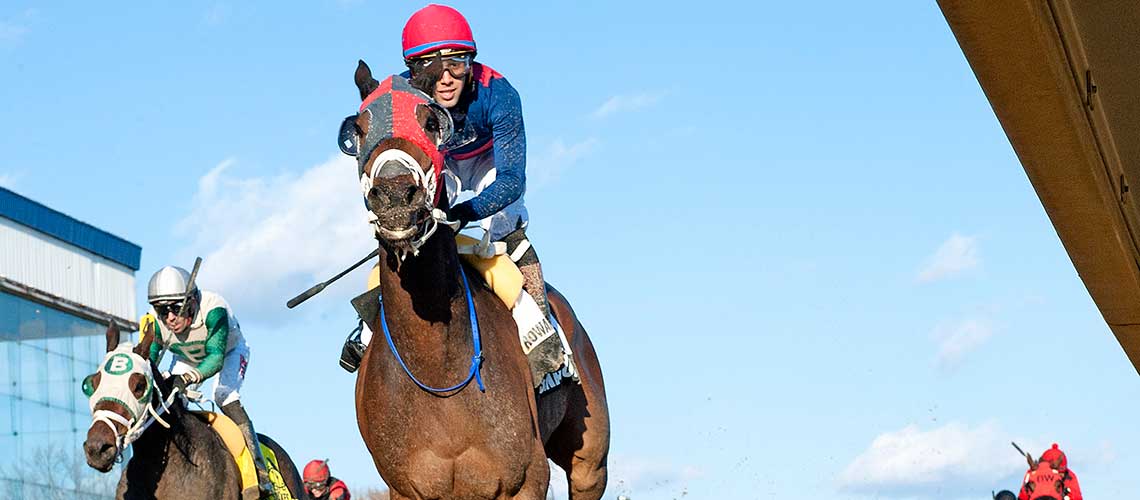 alwaysinahurry-2022-bender