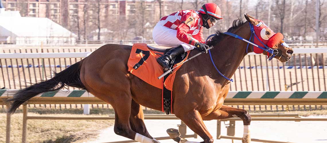 John-The-Bear-2.4.23