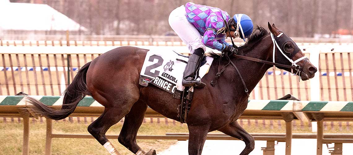 Prince-Of-Jericho-2023-SBid