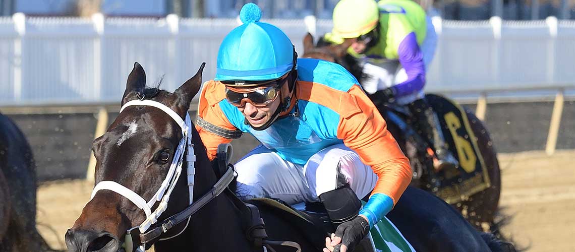 Race-08-311-Swayin-to-and-Fro