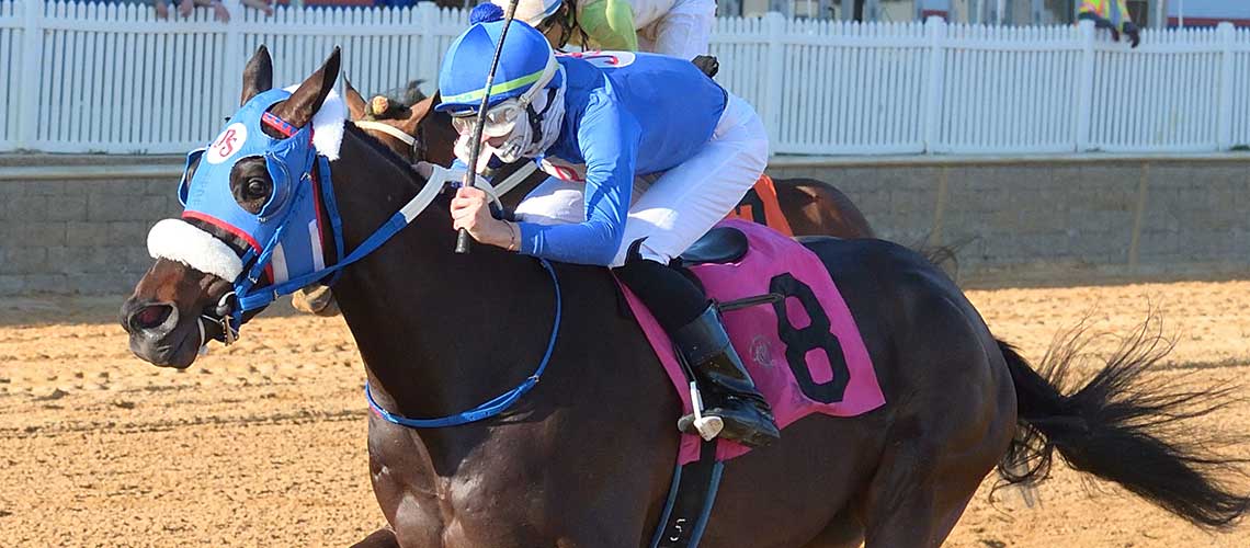 Shake-Em-Loose-2022-PTerms-