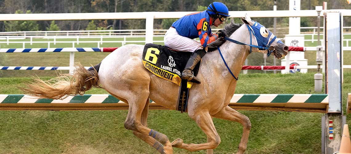 Congruent-Laurel-Futurity-2022