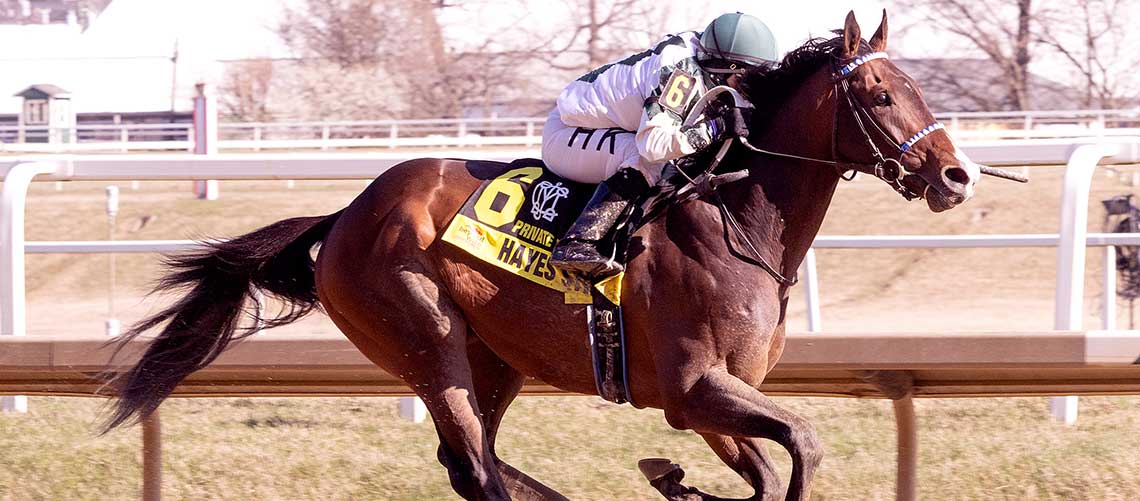 Hayes-Strike-2023-PTerms