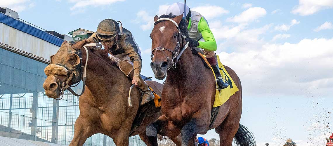 Joe,-inside-2-,-2022-Tesio