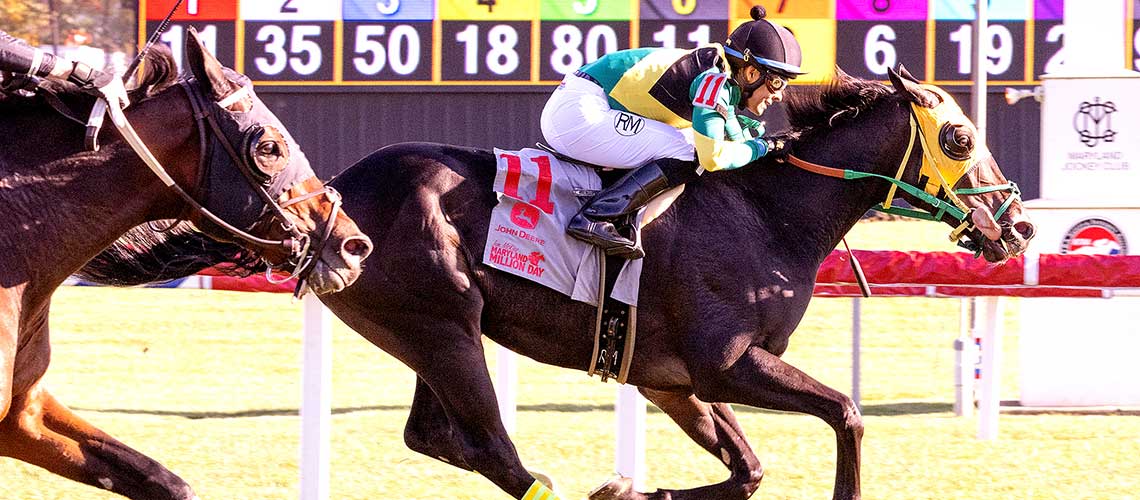 Wicked-Prankster-2022-MMTurf