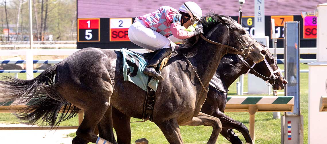 Wondrwherecraigis-23