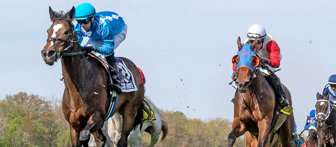 deciding-vote-2022-Dahlia