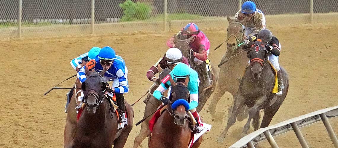 National-Treasure-Head-Of-Stretch