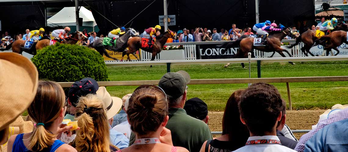 preakness-Their-backs