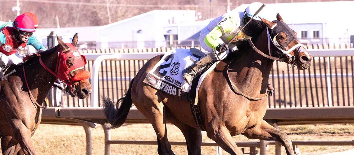 Hybrid-Eclipse-2023-NMorse