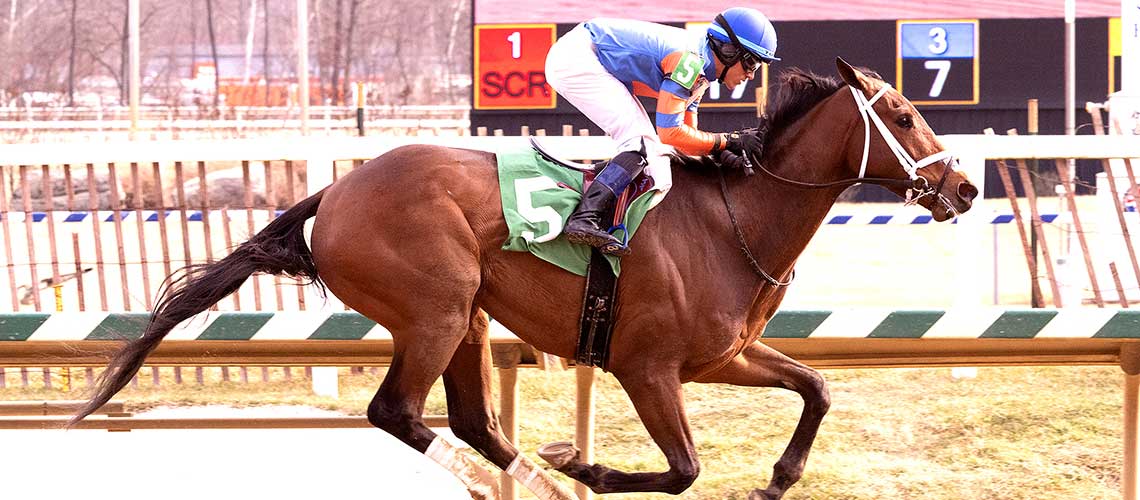 Circling-The-Drain-7.8-23