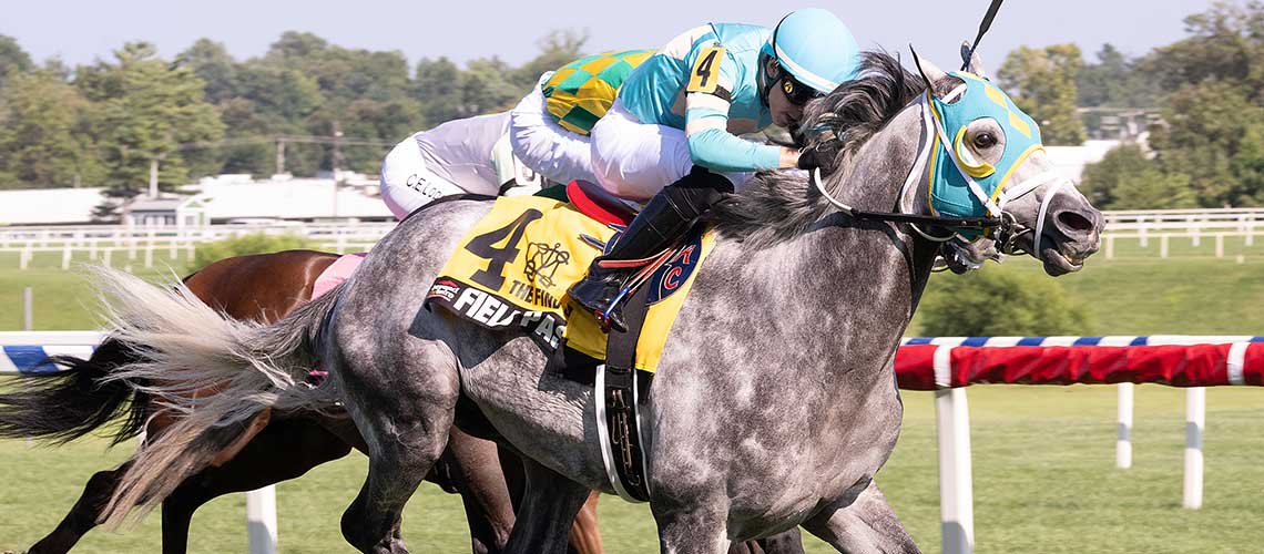 Field-Pass-2023-Find