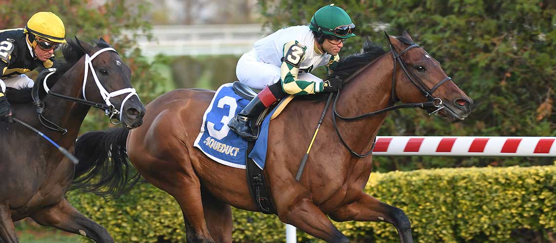 Big-Everest-the-Artie-Schiller