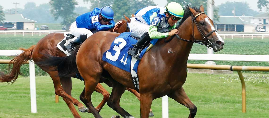 DARING-DO---The-Pea-Patch---3rd-Running---07-16-23-