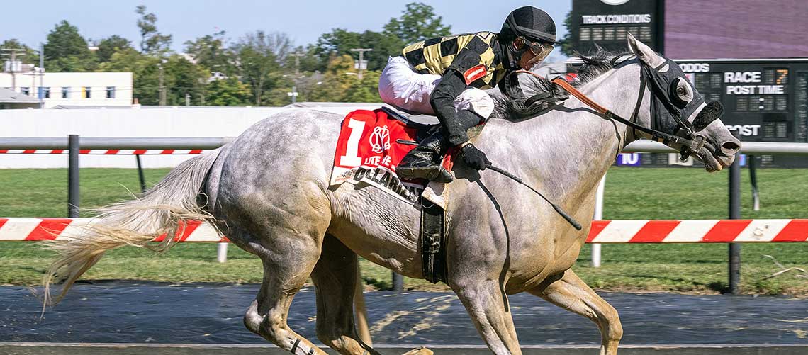 Dollarization-9-16-23