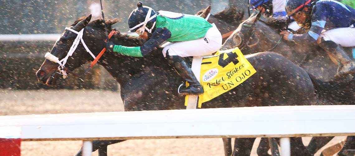 UN-OJO---The-Rebel-G2