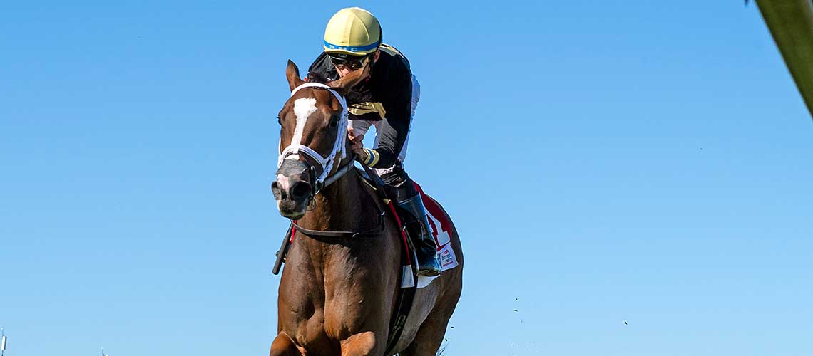 full-count-felicia-4866